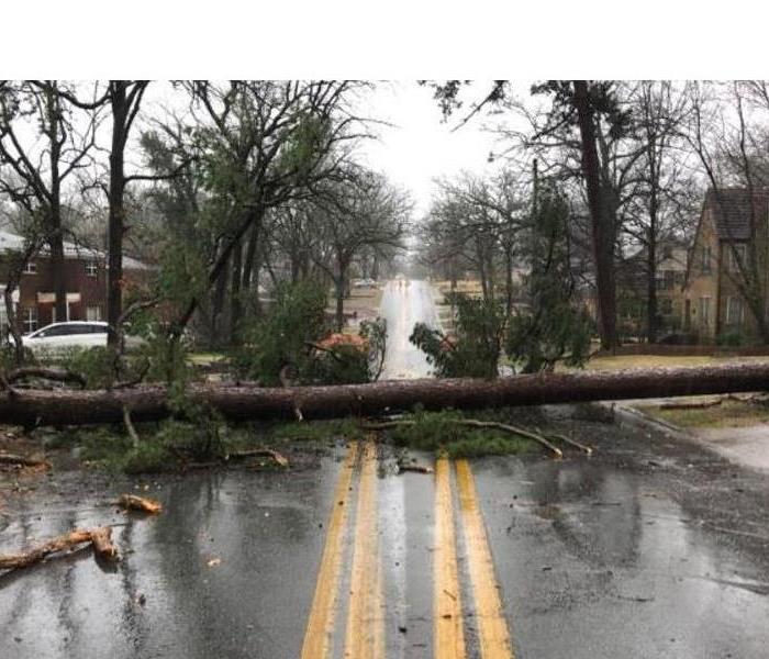 Storm. high winds, fallen tree, blocking a road