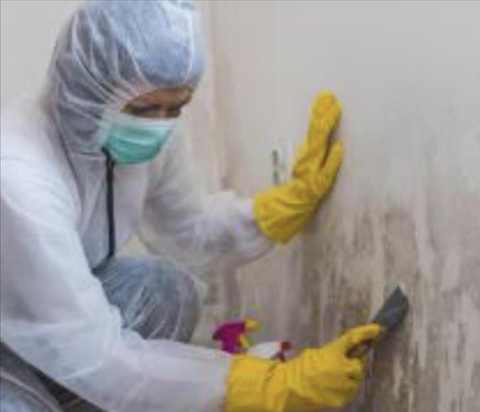 mold, removal, proper coverings, gloves, mask