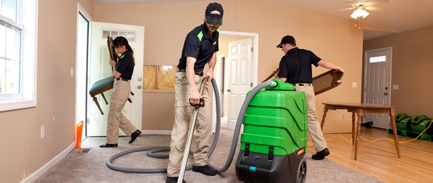 Ferndale, MI cleaning services